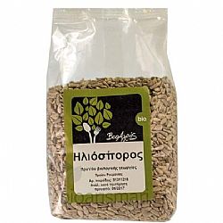 ΗΛΙΟΣΠΟΡΟΣ 250gr