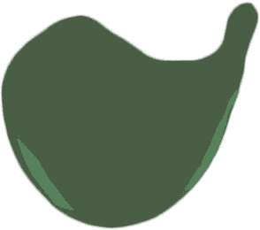 ΒΕΡΝΙΚΙ ΝΥΧΙΩΝ SAGE GREEN 5ML