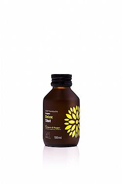 VIGO DETOX WELLNESS SHOT CURCUMIN & BLACK PEPPER BIO 100ML