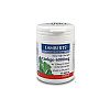 GINKGO BILOBA 6000MG 30TABS