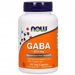 GABA 500MG+B-6 100CAPS