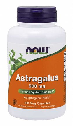 ASTRAGALUS 500MG 100CAPS