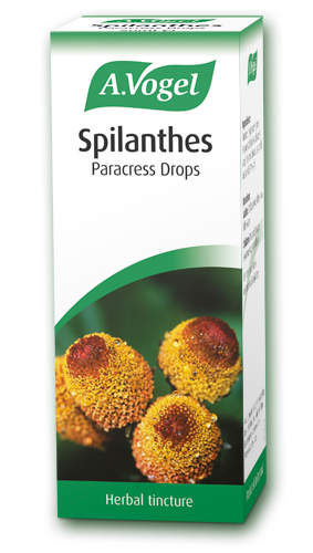 SPILANTHES DROPS 50ML