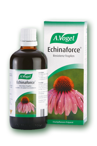 ECHINAFORCE 50ML