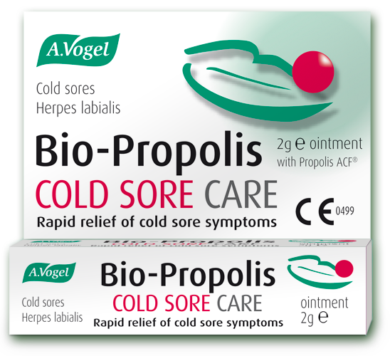 BIO-PROPOLIS OINTMENT 2GR