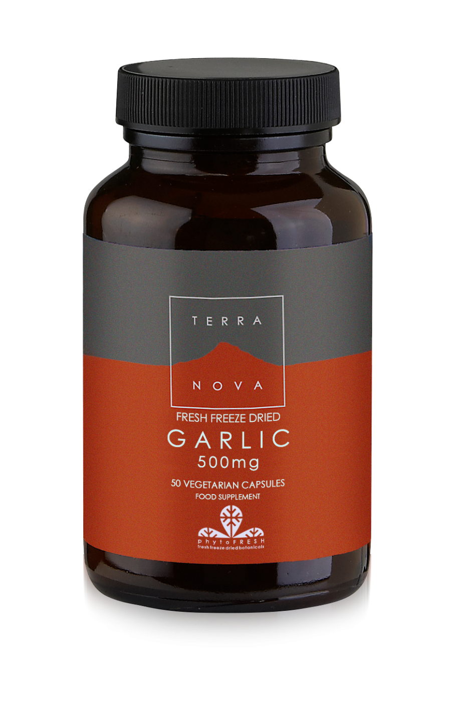 GARLIC 500MG (FRESH FREEZE DRIED)