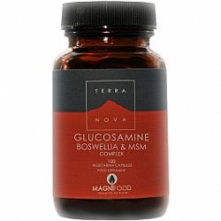 GLUCOSAMINE,BOSWELLIA&MSM 100s