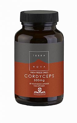 CORDYCEPS 500MG 50CAPS