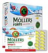 MOLLER