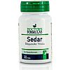 SEDAR 30 TABS